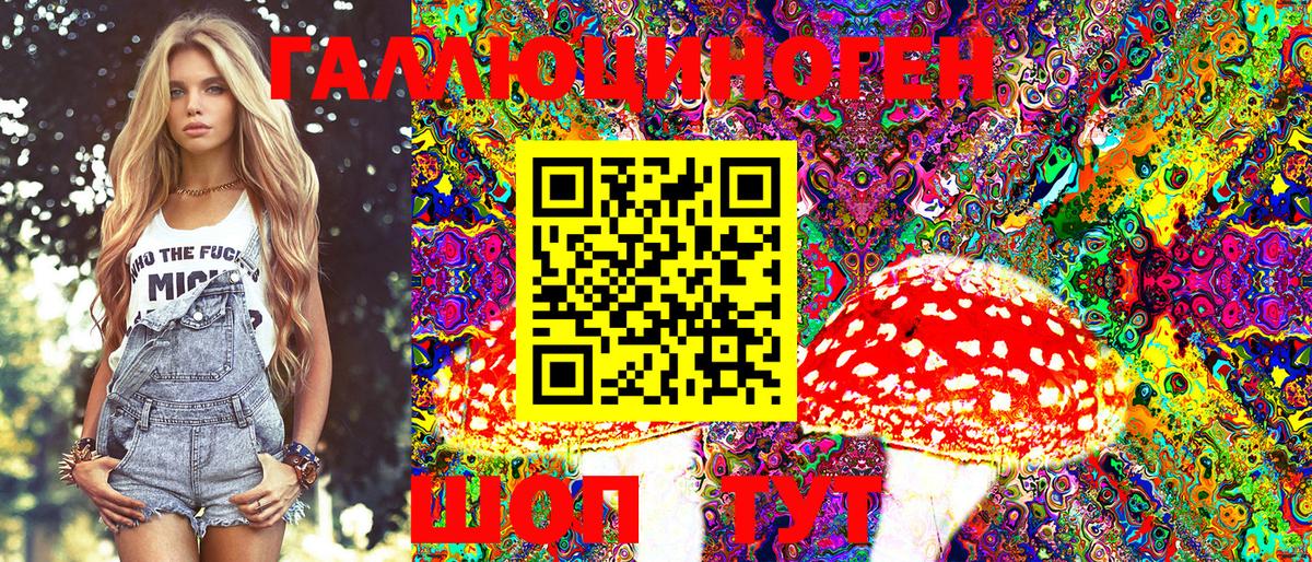 Псилоцибиновые грибы GOLDEN TEACHER Богородск