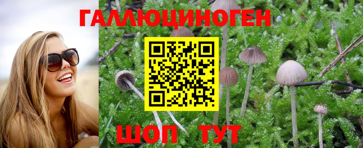 Галлюциногенные грибы Psilocybe  Галлюциногенные грибы Magic Shrooms  Богородск  Вход с VPN 